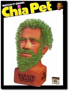 chia-pet-obama-barack-hairy-6